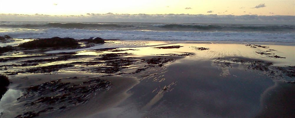 Salmonberry Inn & Beach House Линкольн-Сити Экстерьер фото